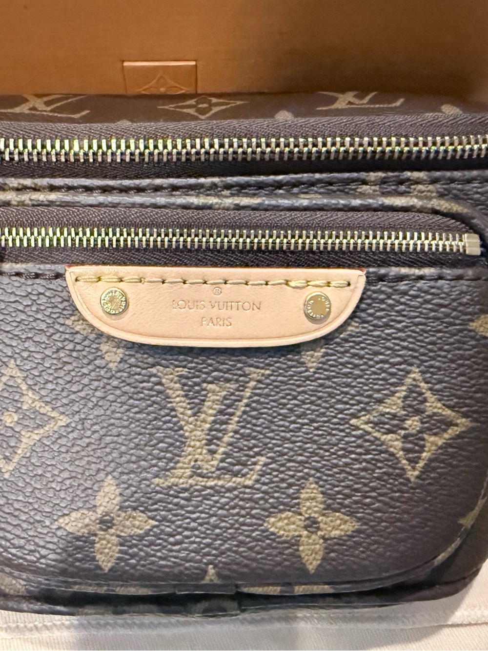 Louis Vuitton Mini Bumbag - Picture 2 of 11